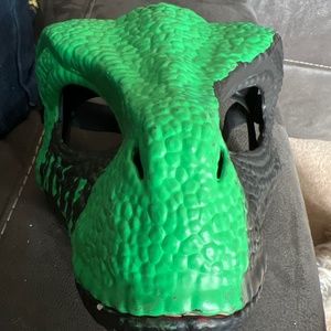 Custom painted Raptor mask